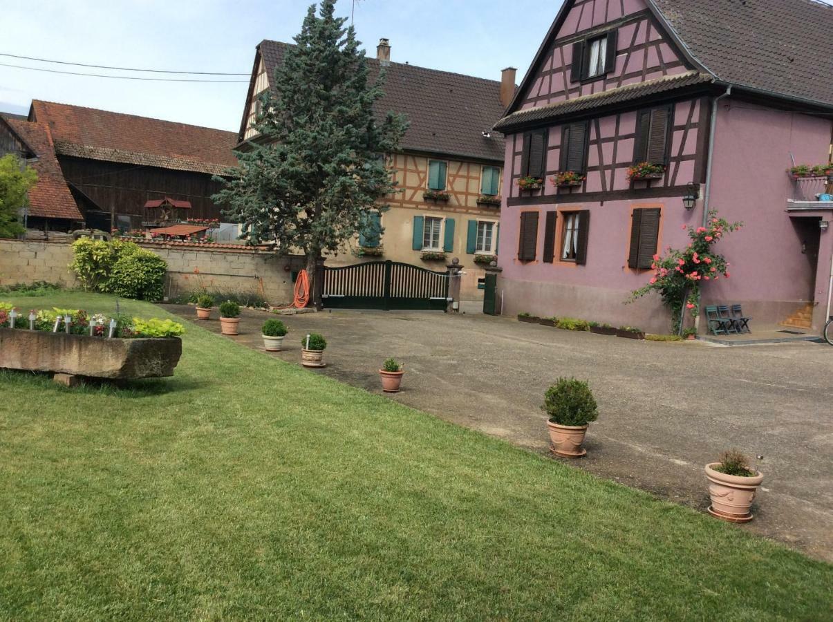 Gite Heinrich Ebersheim Exterior photo